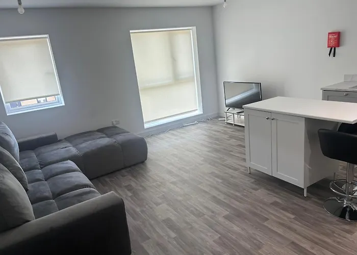 Cozy One-bedroom 公寓 都柏林